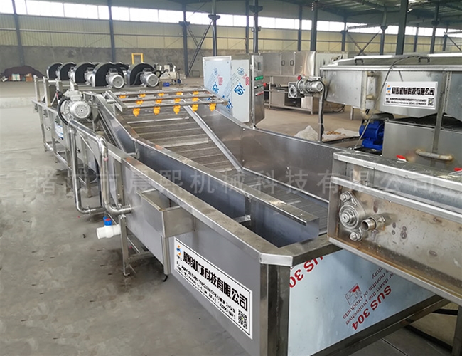 連續(xù)式洗果機
