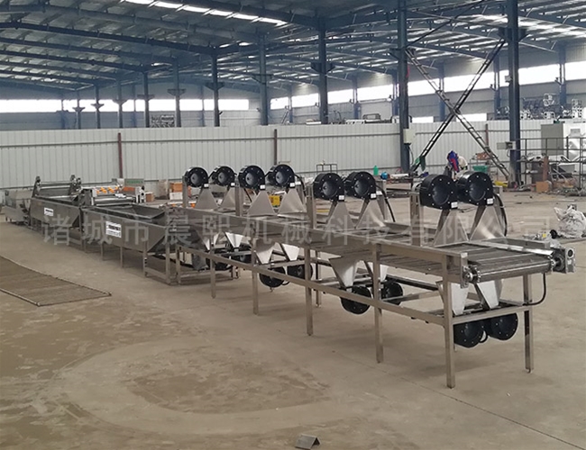 樹梅清洗機多少錢