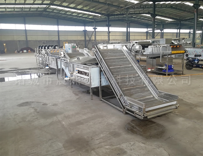 芋頭去皮機廠家直銷