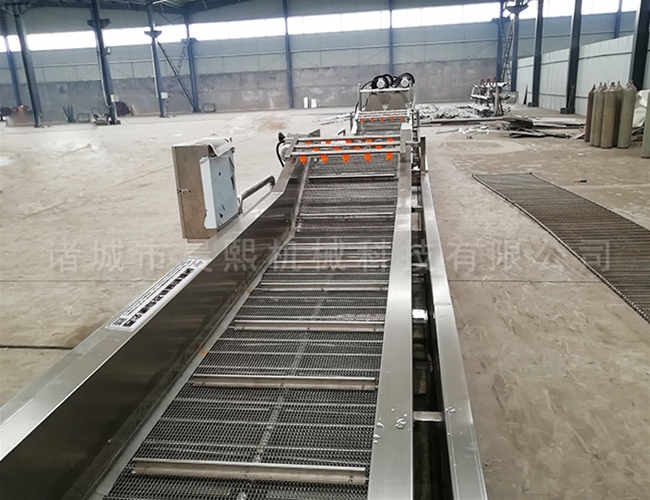 全自動大棗清洗機(jī)生產(chǎn)廠家